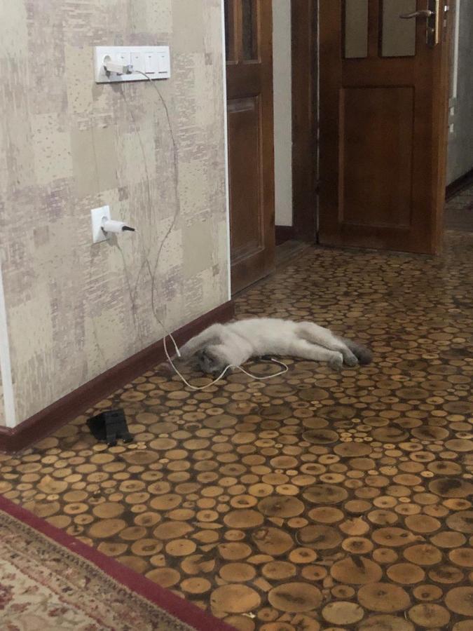 Be My Guest Ξενοδοχείο Osh Εξωτερικό φωτογραφία